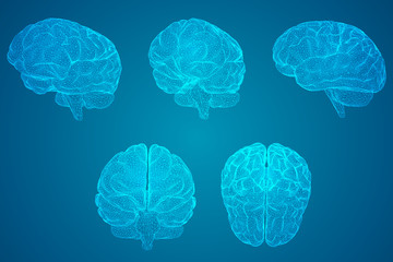 b级车排名前十名的车是什么？