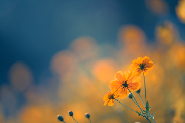 准备提车 应该怎样验车的