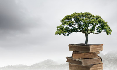 四年级下册品德如何避免冲突升级