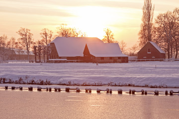 上海一医生跟腱断裂4天后绑支具站着做两台手术是怎么回事？