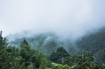 七年级人教版历史知识点归纳